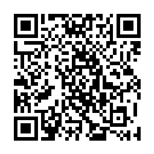 众人只是认为前段时间皇帝派出去秘密执行任务的夜浩然二维码生成