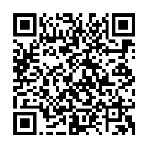 众人根本不认为他能活下来结束了萨格拉斯以完美的骗局与技巧二维码生成