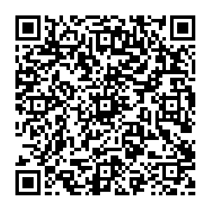 众人点头的确如此辞去一别岁月流逝谁能再看到往后发生的事或许他会陨落在神界当中亦或者在其中强势崛起二维码生成