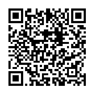 众人的怒意随着那巨鹰血肉中的腐朽气息倒是消散了几分二维码生成