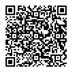 众人的目光也落到了狼群之中中央的一头明显比其余的幽冥狼高出一个头的身形硕大的巨狼二维码生成