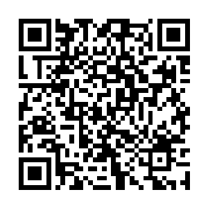 众人的表现自然是不会瞒过血天还有枯子两个人了二维码生成