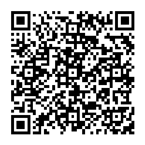 众人皆知 无数年來 前往灵界的人屈指可数 而这些都是经过接引之人进入其中的二维码生成