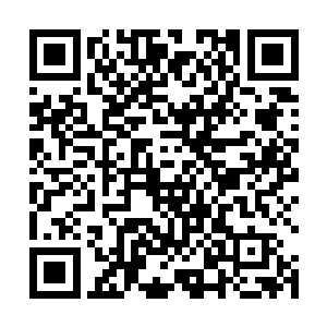 众人看到了无数的血色流体如鲜血一般盘旋在代离周身二维码生成