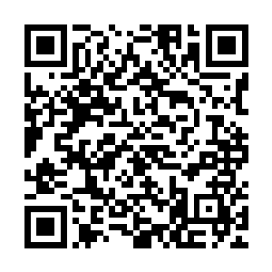 众人看着那九颗一模一样的血红色带着碧绿纹路的幼苗尽皆呆滞二维码生成