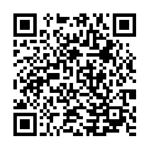 众人眼前的画面是通过上百枚晶眼从三百六十度全方位拍摄的二维码生成