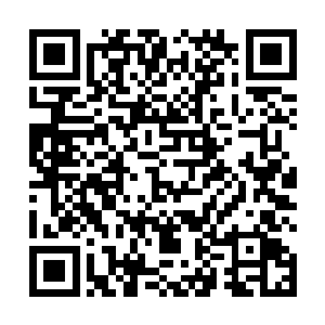众人终于明白了刚才孙子轩所说的怕挨揍是什么意思了二维码生成