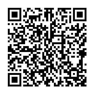 众人闻言 顿时倒吸一口凉气 瞬间想起了若是他突破黑僵之后所带來的后果二维码生成