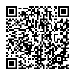 众多无无头苍蝇一般乱转的小石族顿时像是在迷途之中找到了方向二维码生成