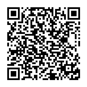 众多破虚境王者和有名的万象境宗师不屑与法相境和洞玄境的后辈待在一起二维码生成