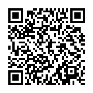 众精怪顿时如同被再次施加了定身术一样呆愣愣的停在了原地二维码生成