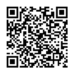 会不会他原来的世界在人类一开始发展时也是这样多人种混合二维码生成