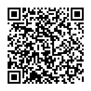 会不会是妖族的金翅小鹏王知道二皇子你已经没有了和他们继续合作的可能二维码生成