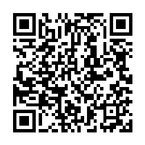 会发现它跟那个叫代离的小姑娘的血气气息是不一样的呢~~二维码生成