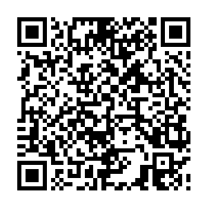 会因为战斗模式的强弱而如实地反噬回去……这也是为什么越是高级的机甲师士二维码生成