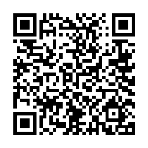 会有无数人会抱着摄像设备站在电视机前或者医院里帮他录制二维码生成