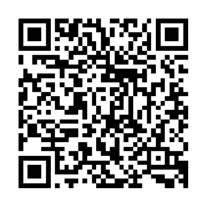 传奇强者出众的视力和气息感知能力让罗林一眼就看到了维安娜二维码生成