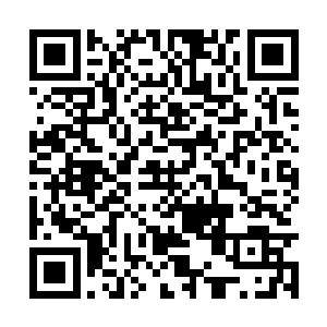 传言修为不到法力无边境界去了里面几乎就是找死二维码生成