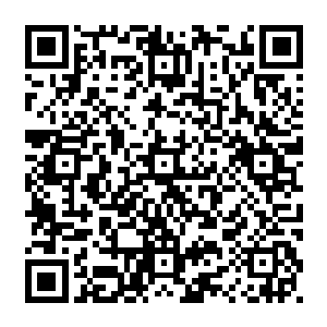 传闻中天地间的第一株黄中李服用之后不单单能够让尊级以下的高手提升一个境界二维码生成