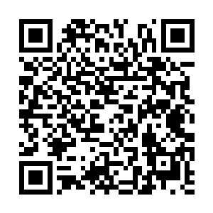 传音令的讯息便是出现在了这几位地仙强者的眼前二维码生成