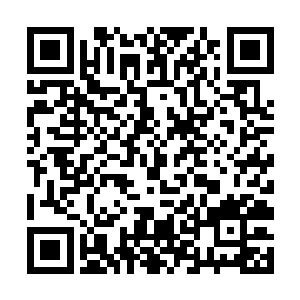 伤痛带走了他们的力量不知不觉也磨灭了他们的斗志二维码生成
