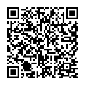 估计一些东皇大陆的商人已经把拍卖会的事情传到了东皇大陆了吧二维码生成