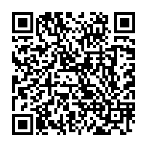 估计一方面是这些异能者不懂得又或者他们没办法直接使用这些法器二维码生成