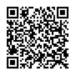 估计也就是这七天怀远堂中众位长老和家主张太玄商量好的口径二维码生成
