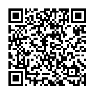 估计也是盘古文明某种用来保护神魂不散的军用法宝二维码生成