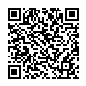 估计也暗道这两位和自己差不多的同道居然怕死到这程度二维码生成