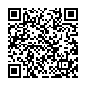 估计体内的精血得全部贡献完了才能写出这个死字二维码生成