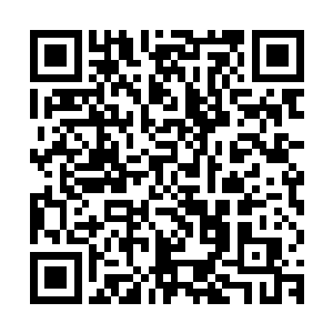 估计你只要试上几次就可以利用你的这个能力在水下自由呼吸了二维码生成