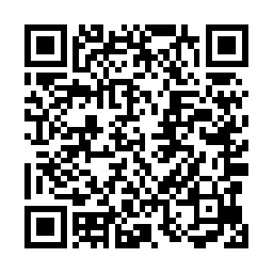 估计到了元婴期它们的思维方式就能变得和人一模一样了二维码生成