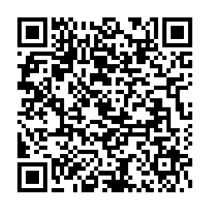 估计又离升职加薪的日子不远了――上一次元首成功跟少主搭上线之后二维码生成