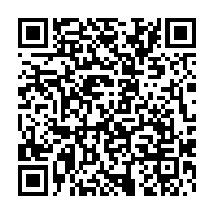估计只有反人类反社会的家伙才能够对这样花朵一般的小美人下狠手吧二维码生成