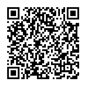 估计合起来还没牟晨菲放在墙根那一排各种高跟鞋的任何一双昂贵二维码生成