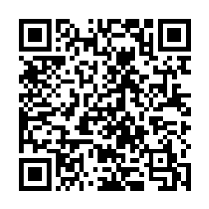 估计在和吞天界主对视的时候就被他眼中的眸光轰杀了二维码生成