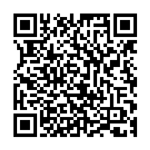 估计在这里修炼到戡乱会结束的时候自己就能突破到青莲二品二维码生成