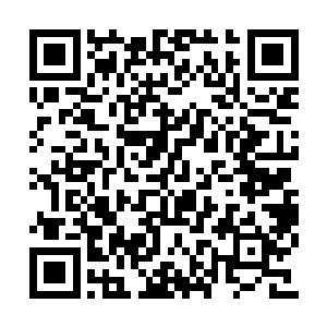 估计如果不是王世子的电话号码实在太难弄到了二维码生成