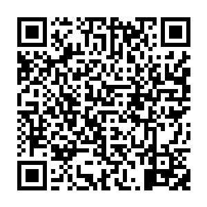 估计比之真正的至尊境强者都不差分毫的……可硬是被七只僵尸联手撕成了碎片二维码生成