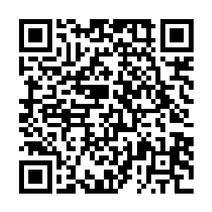 估计没两下自己的神念意识就会被这顶骨内的血海给淹没二维码生成