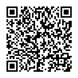 估计没有人会相信这样子一个害羞的家伙居然会拥有那么恐怖的实力吧二维码生成