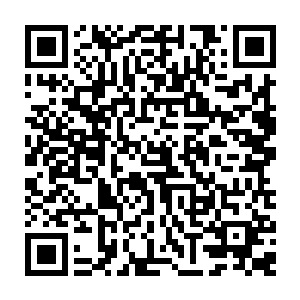 估计没有几个人可以准确的给出答案……因为它是一只升级完全没有上限的异兽二维码生成