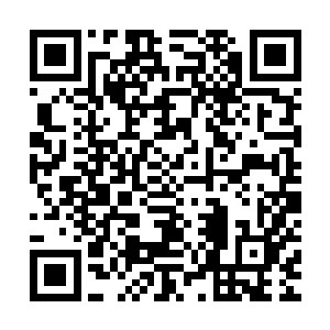 估计没谁有她熟悉那十一条几乎每次都用手指肚心疼抚摸的伤疤二维码生成