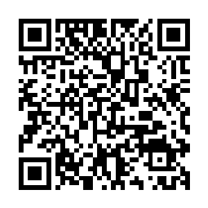 估计海神殿短时间内是无法兴风作浪了……休养生息才是正理二维码生成
