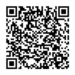 估计用不了几秒钟这根足足需要四五人才能合抱的大树便会从中而断了二维码生成