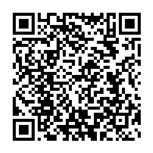 估计自己也不相信会有什么东西能够阻碍到他和自己师兄的兄弟情分二维码生成