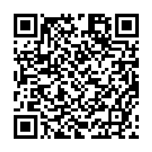 估计这会还在后悔为什么拉进去的是厉蛊和半个鬼差呢二维码生成