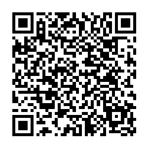 估计这俩人等伊莎贝拉成功夺回王位之后也就不用再來王宫上班了二维码生成