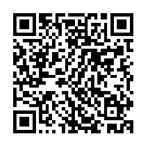 估计陈观和伊莉莎二人就会成为游客们参观的动物园的动物了二维码生成